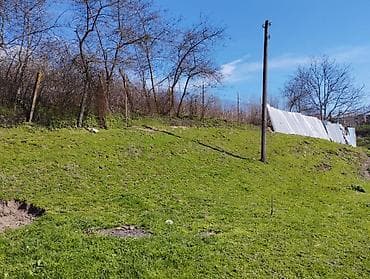 taxta satılır: Tikinti — 2