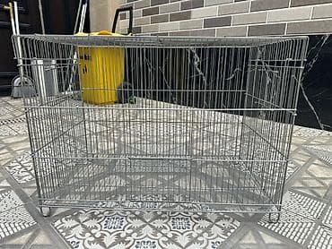 it paltar: Metal qəfəs. Hündürlüyü 35, eni 35, uzunu 60 sm — 1