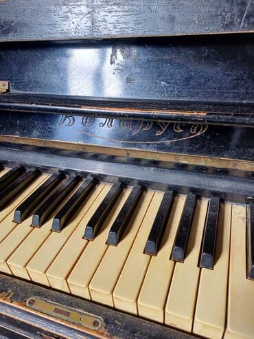 Piano, Belarus, Akustik