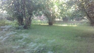 xacmazda findiq bagi satilir: 8 sot, Kupça (Çıxarış) — 3