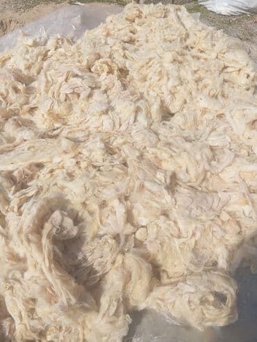deve yunu yorgan: Təbii qoyun yunu – açıq krem rəngli, lifləri yumşaq və elastik — 2