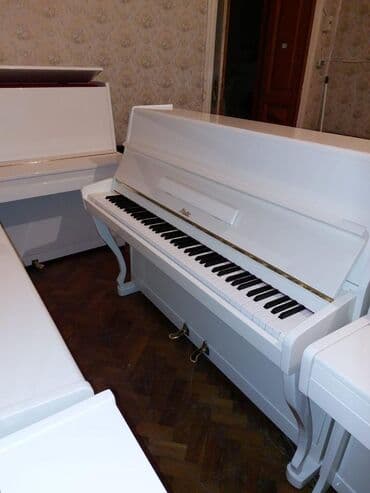 piano dersleri baki: Pianino RÖSLER Cexiya stehsalı. İdeal vəziyyədə. Cadrılma və köklənmə — 3