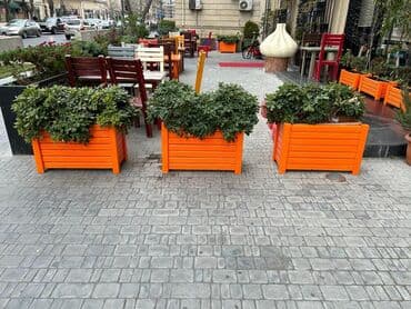 ev bitkiləri: Uzunluq 80 sm. hundurluk 53sm eni 34sm — 1