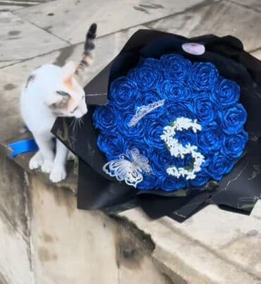 süni gul: Sifarisle hazirlanir — 8