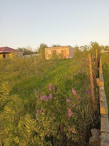 kənd əhmədli: 6 sot, Biznes üçün, Mülkiyyətçi, Kupça (Çıxarış) — 4