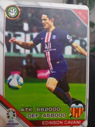 Futbol kolleksiya kartları dəsti Tərkib və xüsusiyyətlər: - Tematik — 11