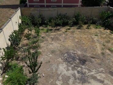 ev masazir: 3 sot, Makler, Kupça (Çıxarış) — 2