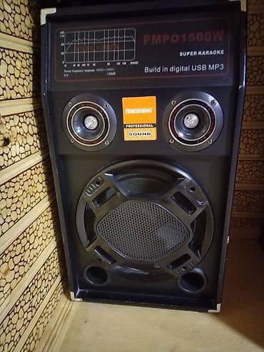 TEMEISHENG Professional Sound – Karaoke və tədbirlər üçün səs sistemi