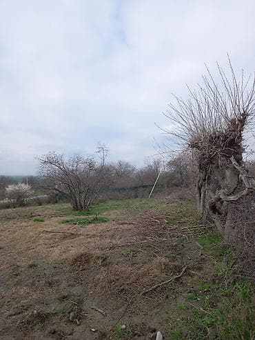 razin torpaq satilir: 15 sot, Tikinti, Mülkiyyətçi, Kupça (Çıxarış) — 3