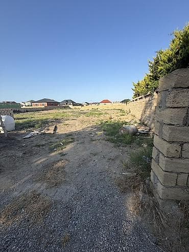 Tikinti, Kupça (Çıxarış)