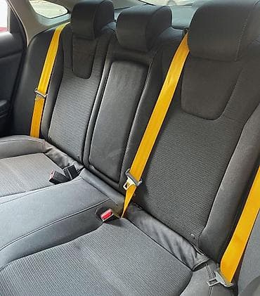 plastik qapu: Avtomobil təhlükəsizlik kəmərlərinin rəngli dəyişdirilməsi və — 5