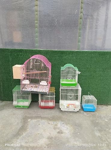 Heyvanlar üçün mallar: Quş qəfəsləri dəsti - Fərqli ölçü və rənglərdə metal quş qəfəsləri — 1