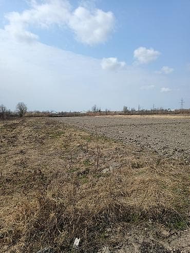 sarayda torpag: Kənd təsərrüfatı — 1