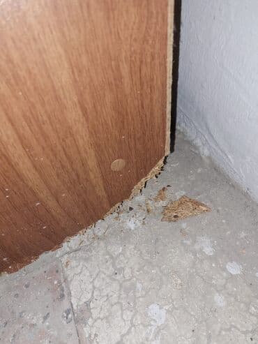 islenmis skaflar: İşlənmiş, 1 qapı Düz dolab, Ayaqqabı dolabı — 2