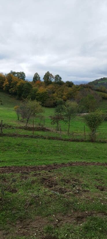 Otaqlar: 30 sot, Kənd təsərrüfatı, Kupça (Çıxarış) — 2