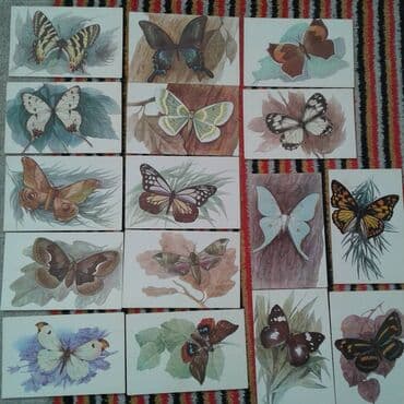 10 cent kaç manat: К вниманию коллекционеров советских товаров. Продам наборы открыток — 29