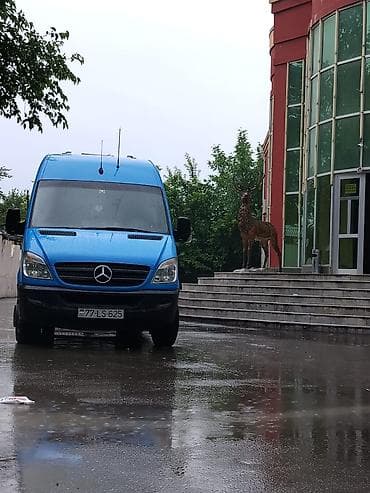 mutlu akumlyator satışı: Mercedes-Benz Sprinter yük/miniven - Kuzov: Uzun baza, yüksək — 6