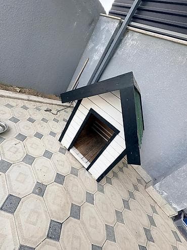 heyvan bazarları: Məhsul: İt evi (açıq hava üçün) it yuvası Təsvir: - Material: Taxta — 3