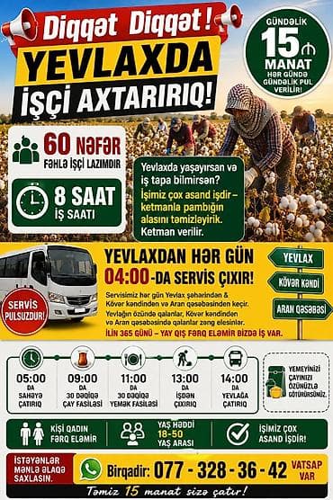 tecili fehle teleb olunur: Fəhlə tələb olunur, Təcrübəsiz, 1/1, Gündəlik ödəniş — 1