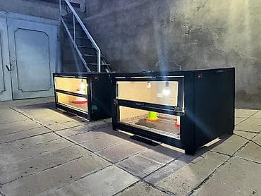 Digər heyvanlar: Cücə saxlamaq üçün Bruder.Daşına bilən çox keyfiyyətli materialla — 2