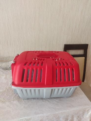 pisik cantasi: Heyvan daşıma çantası/konteyneri - Material: möhkəm plastik - Rəng — 2