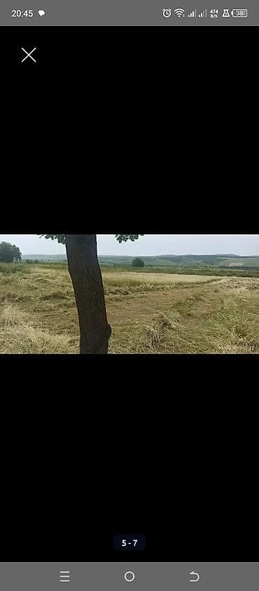 kurdaxanida heyet evleri: Kənd təsərrüfatı — 3