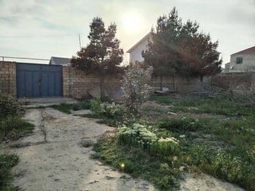 binə qəsəbəsi: 3 sot, Tikinti, Makler, Kupça (Çıxarış) — 4