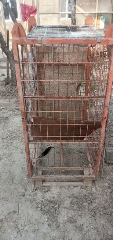 it cinsleri ve qiymetleri: Toyuq üçün qəfəs — 1