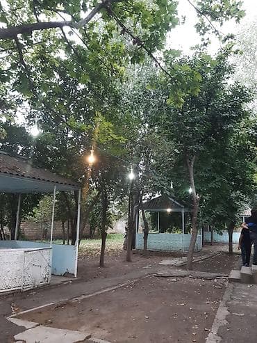 bağ evi novxanı: Nərgiz kafesine ofsiyant xanım teleb olnur maaş 30 azn +yimək çayavoy — 9