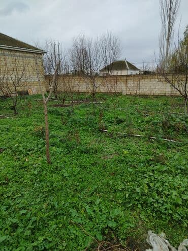 6 mkr da kiraye evler: 4 sot, Kupça (Çıxarış) — 4