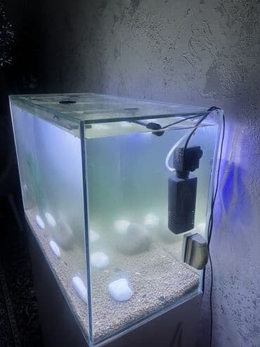 Грызуны: Прямоугольный аквариум, Пустой, 90 л, Платная доставка — 6