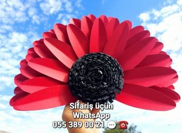 şar dekoru: Şəkilləri çevirin zəhmət olmasa. Ev - məkan dekoru. Yeni model — 13