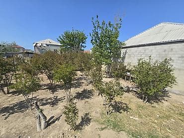 xacmaz torpaq satışı: Tikinti, Mülkiyyətçi — 8