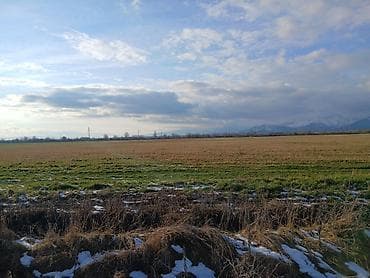 torpaq satışı sumqayit: 35 sot, Biznes üçün, Mülkiyyətçi, Kupça (Çıxarış) — 10