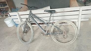 ucuz gitara: Şəhər tipli velosiped - Çərçivə: polad, klassik üçbucaq konstruksiya — 1