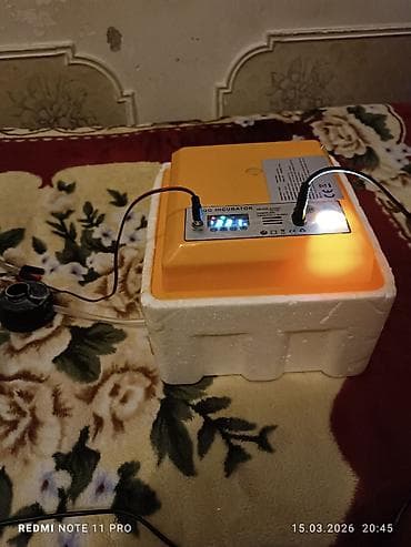 İnkubatorlar: Çin, Bütün növ quşlaq üçün — 6