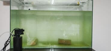 bmw 3 серия 335i mt: Akvarum satılır 500 letrilik akvarumdı,üzərində havalandırıcı və — 3