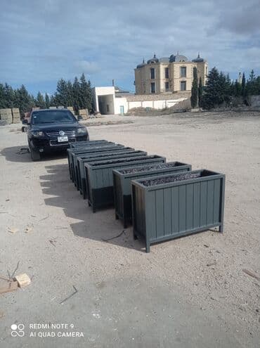 Digər bitkilər: Dipcek Bir başa sexdən.Sex qiymətinə. Hazırlar var. Payız endirimi — 7