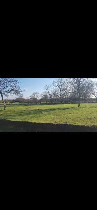 şuşada kiraye evler: 7 otaqlı, 160 kv. m, Kredit var, Yeni təmirli — 10