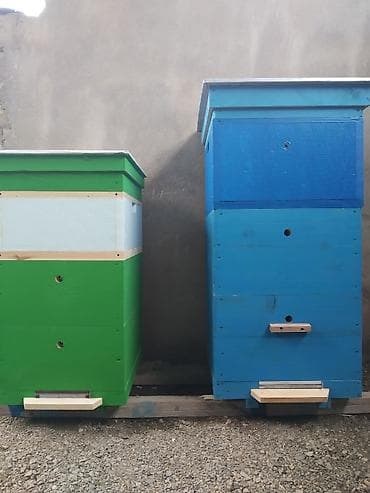 Arı yeşikləri. Hər növ arı yeşikləri, ramkalar. Lejat, dadan, 10