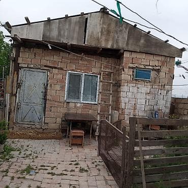 qubada torpaq satilir 2026: Kənd təsərrüfatı — 3