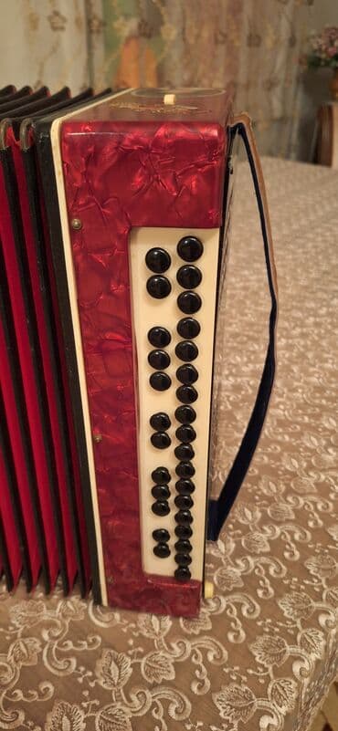 Velosipedlər: Qarmon, Akustik, Yeni, Ödənişli çatdırılma — 7