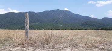 xacmaz torpaq satilir: 45 sot, Kənd təsərrüfatı, Mülkiyyətçi, Kupça (Çıxarış) — 2