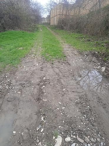 ev alqi satqisi zabrat 1: Kənd təsərrüfatı — 2