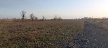 tap az quba: 1500 sot, Kənd təsərrüfatı, Mülkiyyətçi, Kupça (Çıxarış) — 1