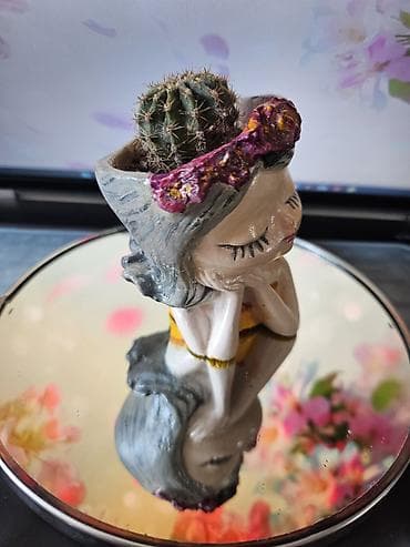 dibcekler: Горшки для сукулентов и кактусов — 6