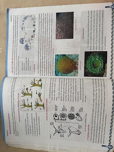 ping pong: Məhsul: Biology II – 8 (Biology Series) dərsliyi Təsvir: - “İ” üçün — 5