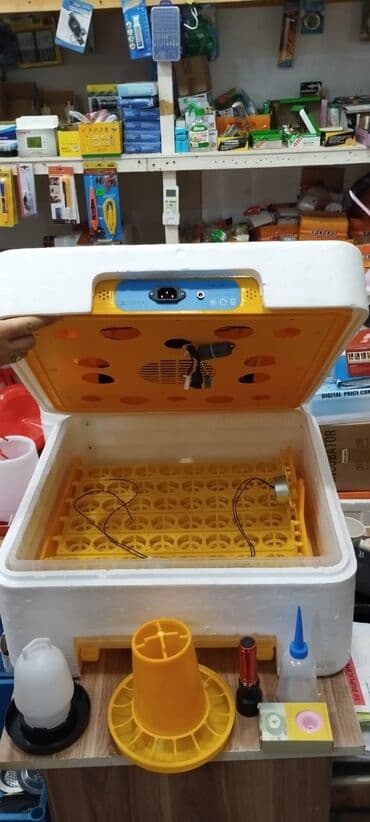 qirqovul satilir: Inkubatorlarin birinci əl satişi unversal inkubator inkubator 196 — 5