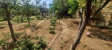 çıxarış nədir: 4 otaqlı, 110 kv. m, Kredit yoxdur, Orta təmir — 22