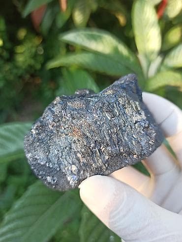Təbii Daşların Satışı | Bornite • Magnetite | Orijinal Kolleksiya — 2